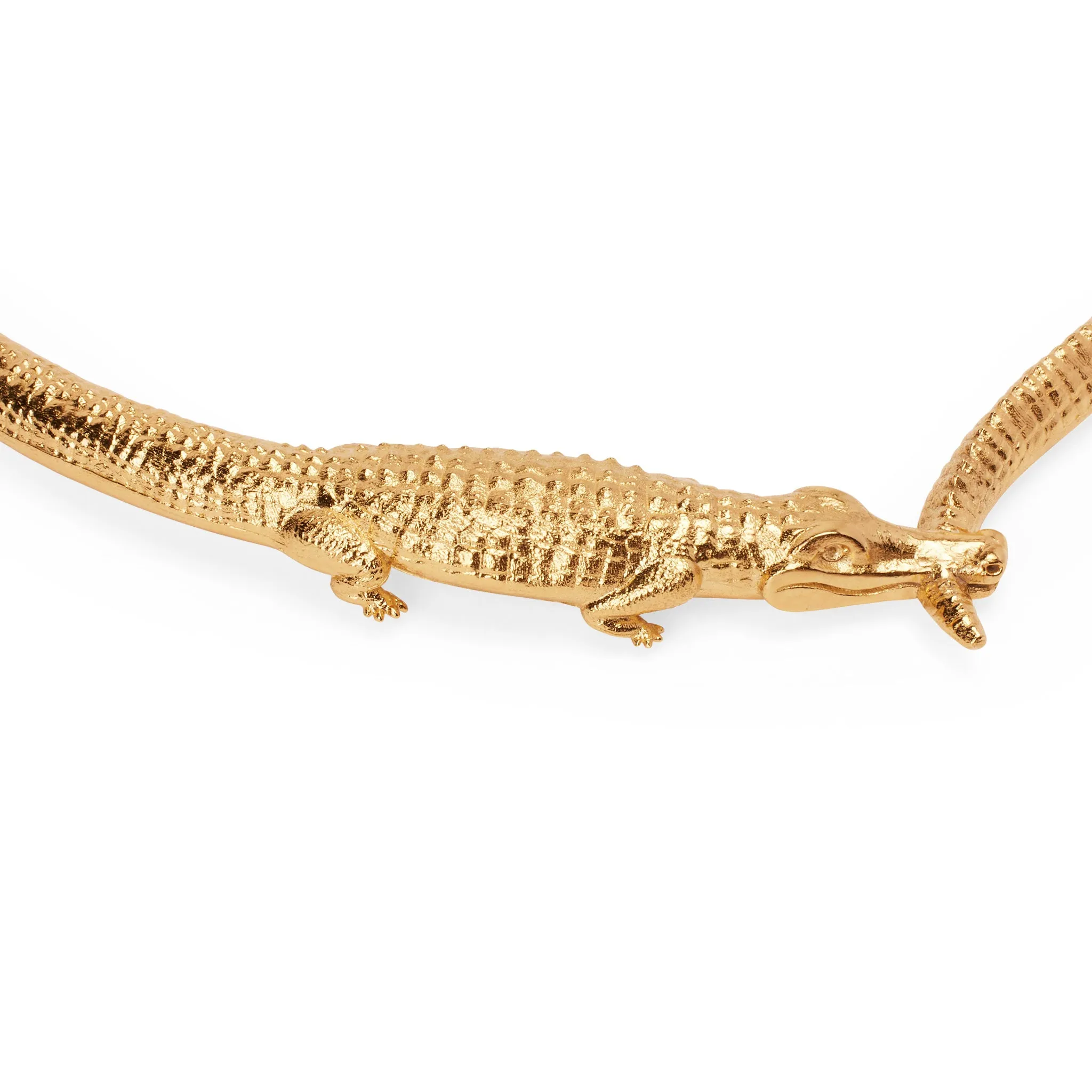 Croc Kingdom Collar